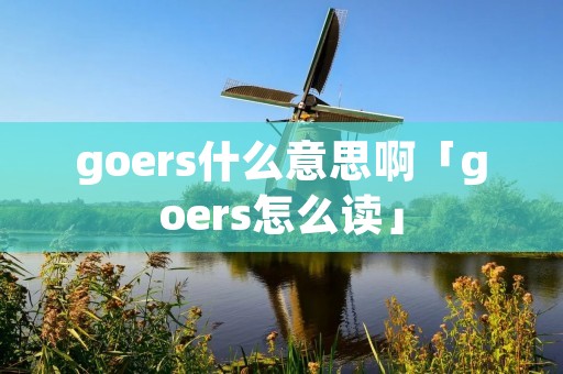 goers什么意思啊「goers怎么读」