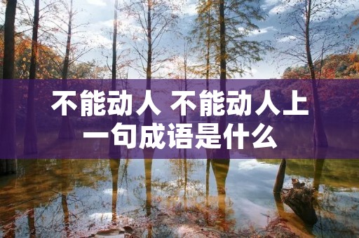 不能动人 不能动人上一句成语是什么