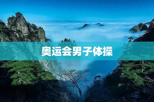 奥运会男子体操：中国队的胜利与挑战