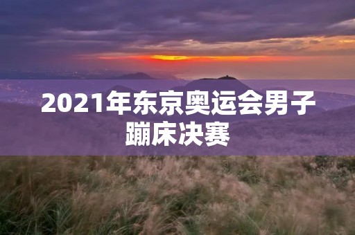 2021年东京奥运会男子蹦床决赛：中国选手徐晨皓夺得金牌