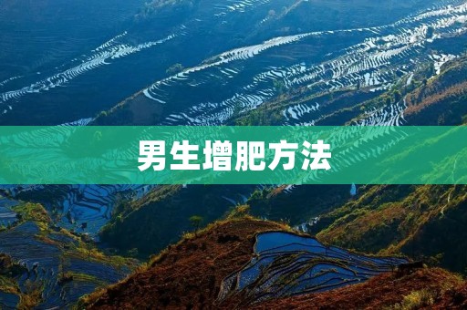 男生增肥方法:如何健康地增加体重? 男生增肥方法:如何健康地增加体重?