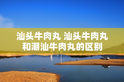 汕头牛肉丸 汕头牛肉丸和潮汕牛肉丸的区别
