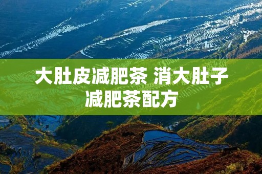 大肚皮减肥茶 消大肚子减肥茶配方