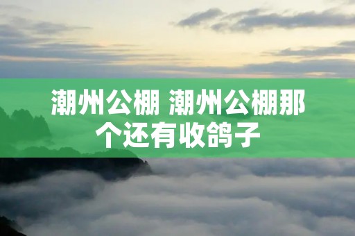 潮州公棚 潮州公棚那个还有收鸽子