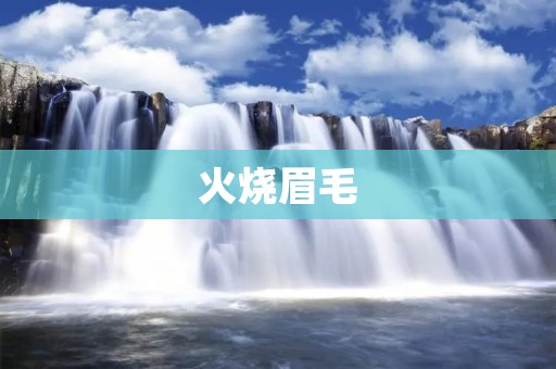 火烧眉毛:如何应对突发事件 火烧眉毛:如何应对突发事件