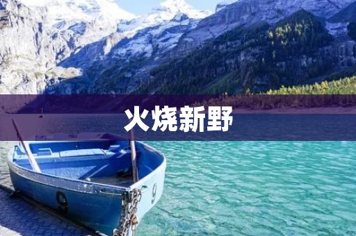 火烧新野：历史上的惨烈事件