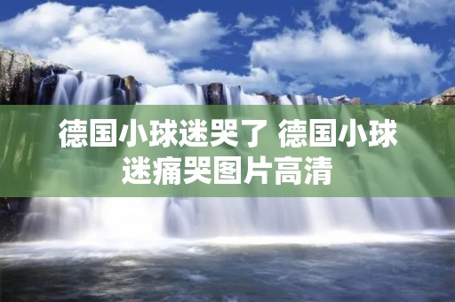 德国小球迷哭了 德国小球迷痛哭图片高清