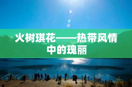 火树琪花——热带风情中的瑰丽 火树琪花——热带风情中的瑰丽