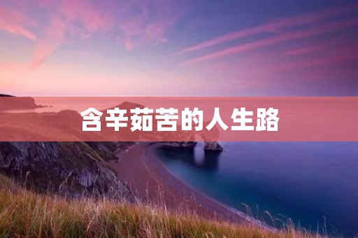 含辛茹苦的人生路