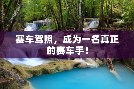 赛车驾照,成为一名真正的赛车手! 赛车驾照,成为一名真正的赛车手!
