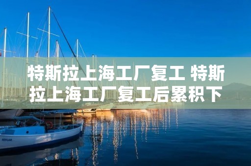 特斯拉上海工厂复工 特斯拉上海工厂复工后累积下线整车超4万辆