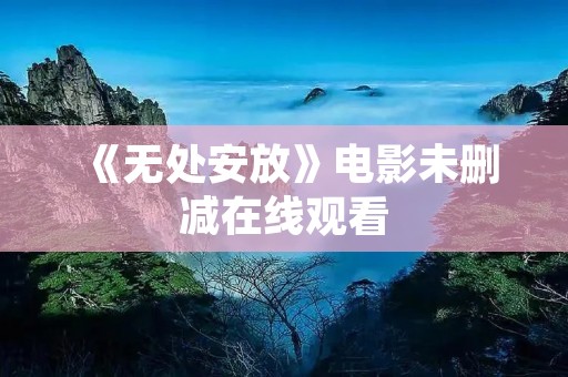 《无处安放》电影未删减在线观看:让你看到真实的社会残酷