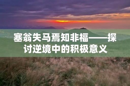 塞翁失马焉知非福——探讨逆境中的积极意义