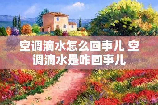 空调滴水怎么回事儿 空调滴水是咋回事儿