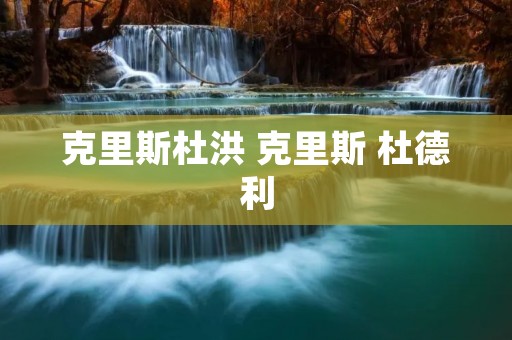克里斯杜洪 克里斯 杜德利