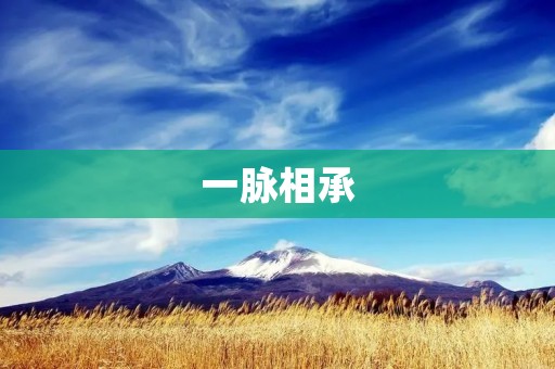 一脉相承：中华文化的传承与发展
