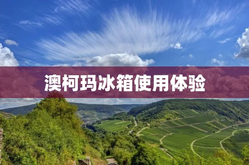 澳柯玛冰箱使用体验