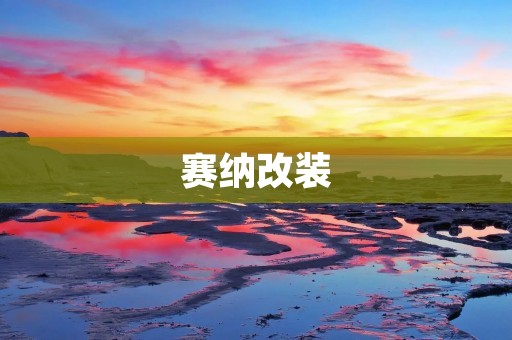 赛纳改装:让你的车独一无二 赛纳改装:让你的车独一无二