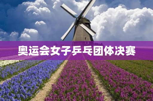奥运会女子乒乓团体决赛:中国队成功卫冕 奥运会女子乒乓团体决赛:中国队成功卫冕