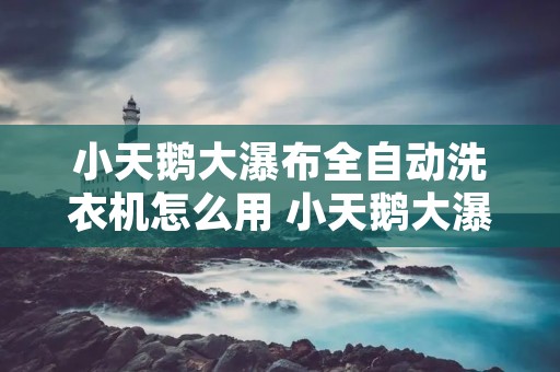 小天鹅大瀑布全自动洗衣机怎么用 小天鹅大瀑布怎么设置洗衣时间 小天鹅大瀑布全自动洗衣机怎么用 小天鹅大瀑布怎么设置洗衣时间