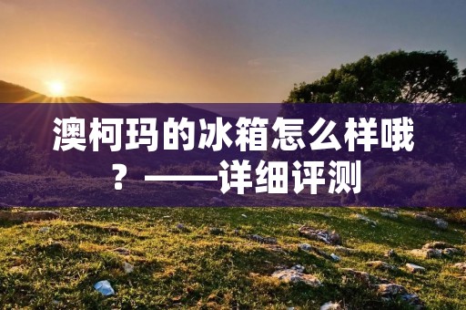 澳柯玛的冰箱怎么样哦?——详细评测 澳柯玛的冰箱怎么样哦?——详细评测