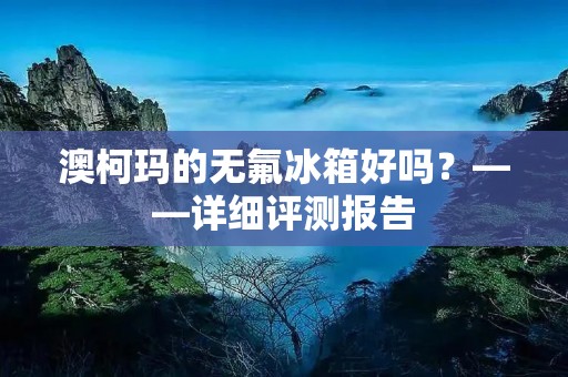澳柯玛的无氟冰箱好吗？——详细评测报告