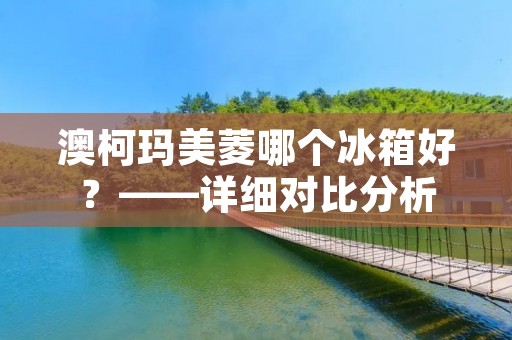 澳柯玛美菱哪个冰箱好?——详细对比分析 澳柯玛美菱哪个冰箱好?——详细对比分析