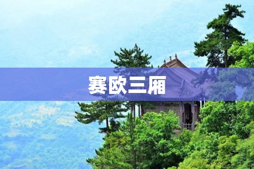 赛欧三厢:小巧实用的家庭轿车