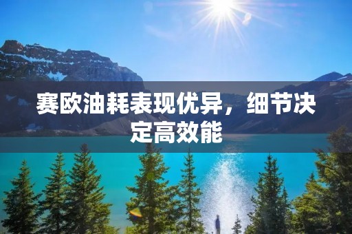 赛欧油耗表现优异，细节决定高效能