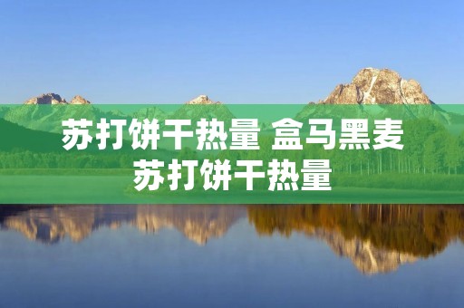 苏打饼干热量 盒马黑麦苏打饼干热量