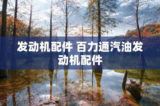 发动机配件 百力通汽油发动机配件