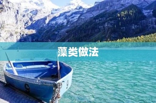 藻类做法:探索可持续发展之路 藻类做法:探索可持续发展之路