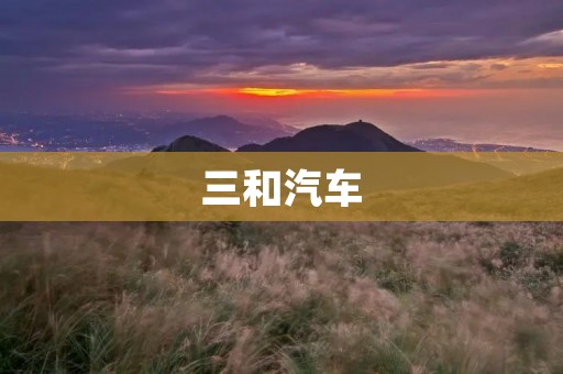 三和汽车:打造中国汽车行业新标杆 三和汽车:打造中国汽车行业新标杆