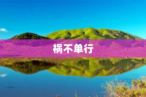 祸不单行：深夜车祸后的悲惨遭遇
