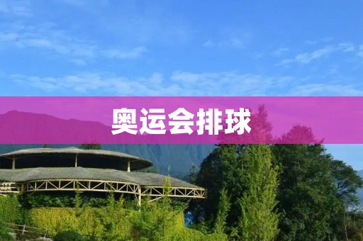 奥运会排球:一场精彩的五局大战 奥运会排球:一场精彩的五局大战