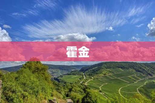 霍金：探索宇宙的伟大科学家