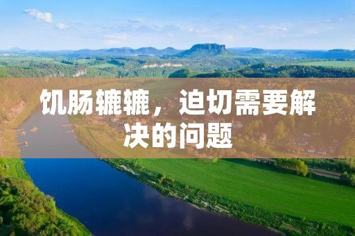 饥肠辘辘,迫切需要解决的问题 饥肠辘辘,迫切需要解决的问题