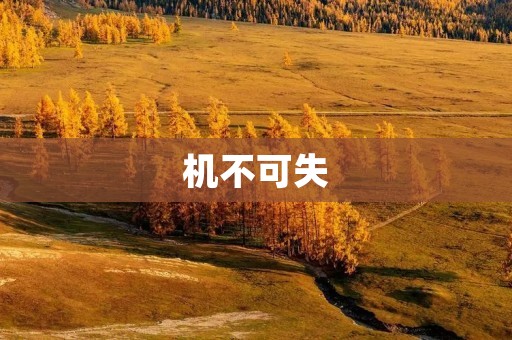 机不可失:抓住机遇,实现成功 机不可失:抓住机遇,实现成功
