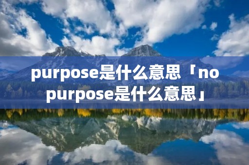 purpose是什么意思「nopurpose是什么意思」
