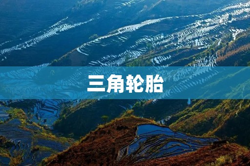 三角轮胎:新时代轮胎的代表 三角轮胎:新时代轮胎的代表