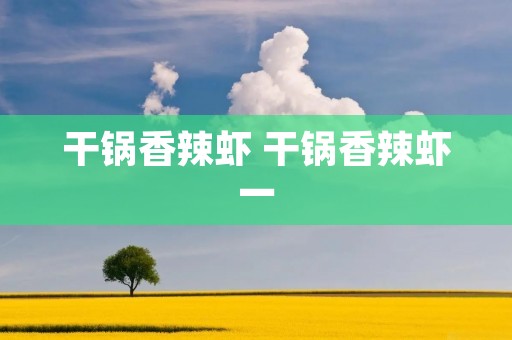 干锅香辣虾 干锅香辣虾一