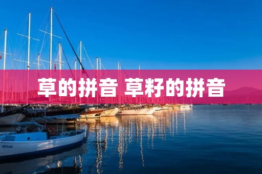 草的拼音 草籽的拼音
