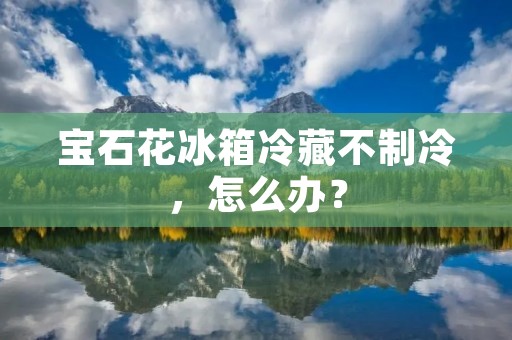 宝石花冰箱冷藏不制冷，怎么办？