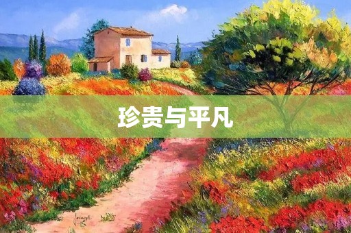 珍贵与平凡：追寻宝贵的反义词