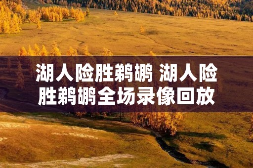 湖人险胜鹈鹕 湖人险胜鹈鹕全场录像回放