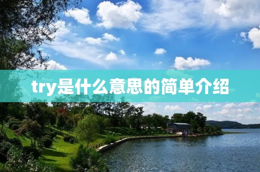 try是什么意思的简单介绍