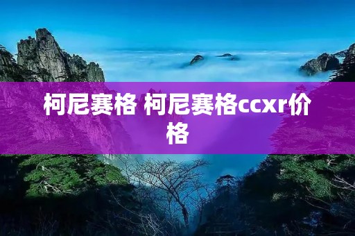 柯尼赛格 柯尼赛格ccxr价格 柯尼赛格 柯尼赛格ccxr价格