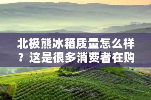 北极熊冰箱质量怎么样？这是很多消费者在购买家电时最关心的问题之一。北极熊是一家专业生产家电的品牌，其冰箱以其高品质、高性能和高效能而著称。在本文中，我们将详细介绍北极熊冰箱的质量和性能，并为您解答购买前的一些疑虑。