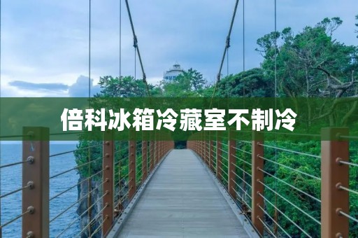 倍科冰箱冷藏室不制冷：原因和解决方法