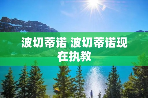 波切蒂诺 波切蒂诺现在执教